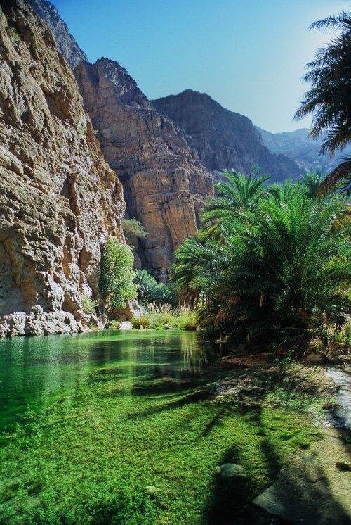 Oman Wonders: A Journey Through Culture, Desert, and Mountains" 7days