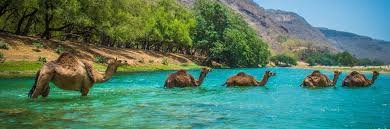 Jebel Safari Salalah